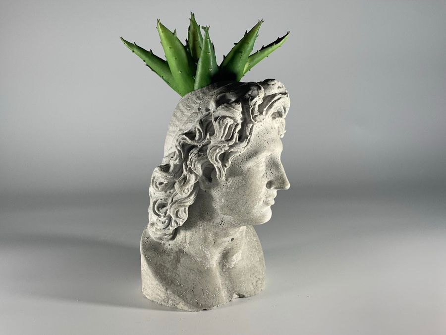 Concrete head planter of Alexander the Great