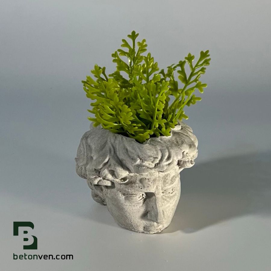Concrete head planter after Michelangelo's David