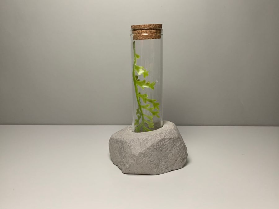 Concrete and glass holder for a fresh flower